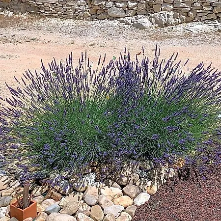 Au Fil Des Cevennes 3* Saint-Jean-de-Maruéjols-et-Avéjan